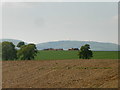 Looking over fields to collapsed haystack and Butser Hill in GU31 5AX