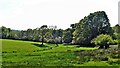 View along the east side of Trickles Wood in RH20 3BG