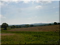 Looking South across fields towards the South Downs in GU31 5AX