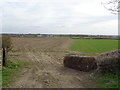 Fields near Sheriff Hutton in YO60 6QS