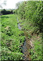 The Spadesbourne stream Lickey End in B60 1PJ