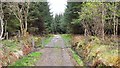 Forestry Road End near Loch Leathan in PA31 8RL