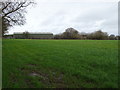 Farmland near Ladford Trading Park in Ellenhall