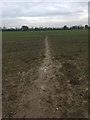 Footpath across field at Gosford Farm in OX5 2LL