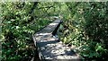 Springwell Lake boardwalk in Maple Cross