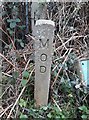 Old Boundary Marker in IP12 3TG