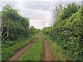 Lane North of Pasture Hill farm in NG20 9ES