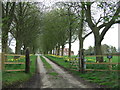 Driveway To Thisley Hall in CB11 3ST