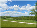 View North towards Barrows Copse in GU31 5NZ