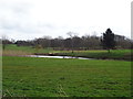 Grazing and lake near Horsley Farm in ST21 6LJ
