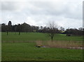 Farmland and lake near Horsley Farm in ST21 6LJ