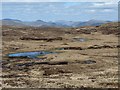 Moorland bog pools on Black Craig in PA23 7UN