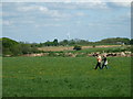 Walkers and a wind turbine in BA1 9BT