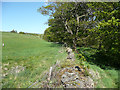 Footpath across Bowl Shaw Clough, Northowram in HX3 7HD