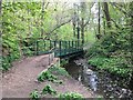 Footbridge over New Burn, Walbottle Dene in NE15 9BD