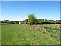 Field footpath Wildmoor in B61 0BT