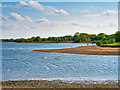 The Northern Shore of Elton Reservoir in M26 4LX