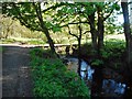 Bridge over the Craigton Burn in G62 7LJ