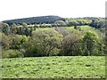 View over the valley of the March Burn in NE44 6AQ
