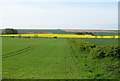 Crop field and hedgerow south of Burton Fleming Road in YO25 3HW
