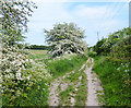 Bridleway, East Hagbourne in OX11 9BN