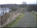 Williamthorpe Ponds Footbridge in S44 5RH