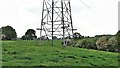 Pylon south of Newstead Farm in RH17 6EZ