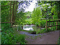 Water Body in Cranham Marsh Nature Reserve in RM14 3YU