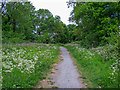 Footpath near Spring Wood, Cranham Marsh Nature Reserve in Upminster Ward