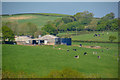 Oldborough : Countryside Scenery in EX17 6SG