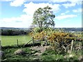 Stile in field above Intake Lane in NE46 2PR