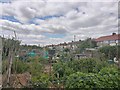 Allotments near Holne Chase in SM1 3HH