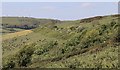 Western slope of Wroxall Down above Lowtherville in PO38 1DZ