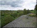 Top of an old coal bing, Brownlee, near Law in ML2 0QP