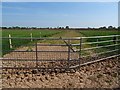 Track across Powick meadow in WR2 4QR