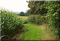 Footpath to Forde Abbey in TA20 4LR