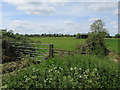 Field by Tredon Farm in Over & Willingham Ward