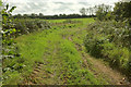 Track near Bearscombe in TQ9 7JY