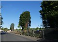 Fences around a building site, Harrington Lane, Pinhoe in EX4 8FW