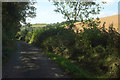 Lane to Topsham Bridge in TQ7 4DS