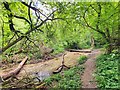 Footbridge over Gaywood River in PE32 1QD
