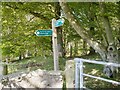 Signpost at Roughmoss, Brechin in DD9 6SQ
