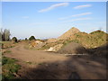 Spoil heaps on the old railway line in DD8 1PW