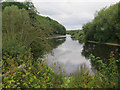 River Wye near Fownhope in HR1 4PJ