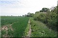 Footpath to Shellow Rd in CM5 0TF