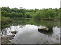 Pond, Silverlink Biodiversity Park, Shiremoor in NE27 0TT