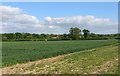 Farmland south of Whetstone in LE8 6NU