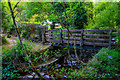 Trentishoe : Footbridge in EX31 4QA