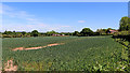 Shropshire farmland north of Ackleton in WV6 7WB