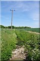 Ditch, Power Poles & Path to Rectory Cottages in CM5 0NT